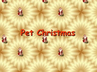 Pet Christmas 