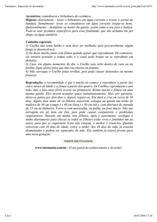 Pet comocuidardeumcoelho PDF Download Gratuito
