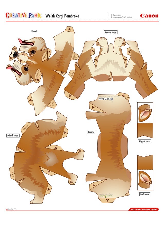 how to 7x7 assemble corgi a4 e Pet