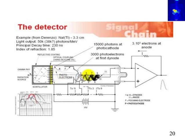 PET-CT Scan(Principles and Basics) | PDF | Lung and Respiratory Health ...