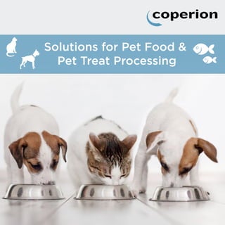 Solutions for Pet Food &
Pet Treat Processing
 