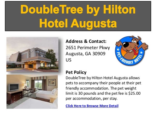 Top Pet Friendly Hotels Lodging Augusta Georgia