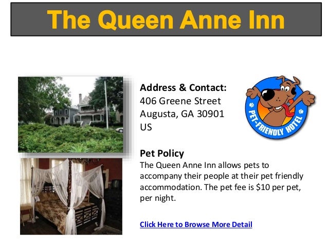 augusta accommodation wa pet friendly hotel