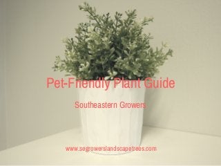 Pet-Friendly Plant Guide
Southeastern Growers
www.segrowerslandscapetrees.com
 