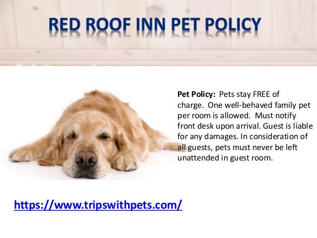 Dog Friendly Utah Dog Friendly Utah