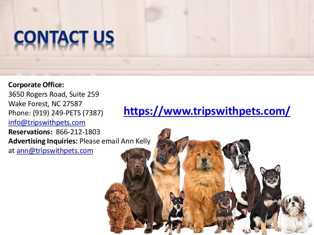 PetFriendly Policies PetFriendly Hotels Guide