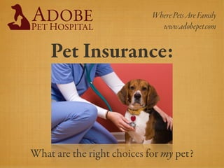 Where Pets Are Family
                              www.adobepet.com


    Pet Insurance:



What are the right choices for my pet?
 