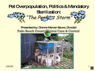 Pet Overpopulation, Politics & Mandatory Sterilization : “The Perfect Storm” Presented by: Dianne Mercer-Sauve, Director Palm Beach County Animal Care & Control  06/07/09 