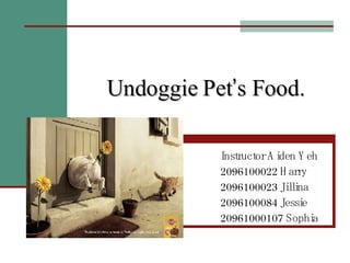 Undoggie Pet ’ s Food. Instructor Aiden Yeh 2096100022 Harry 2096100023 Jillina 2096100084 Jessie  20961000107 Sophia 