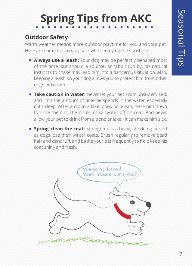 Pet Safety Handbook by AKC Pet Insurance