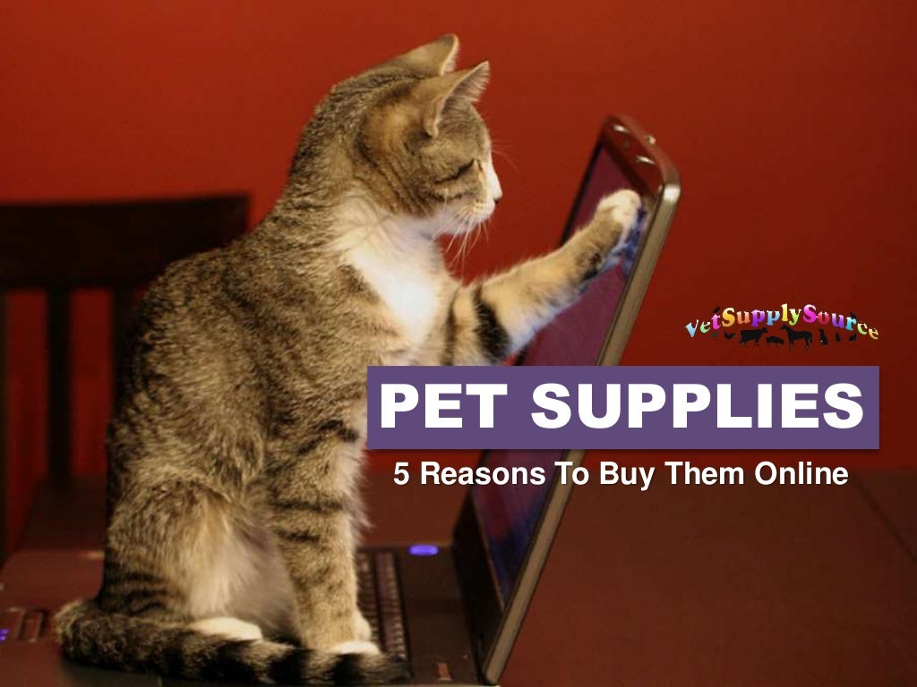Pet Supplies 5 Reasons To Buy Them Online