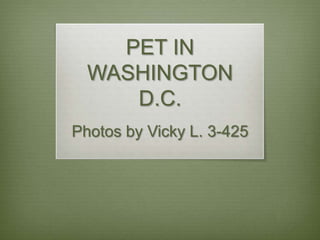 PET IN
WASHINGTON
D.C.
Photos by Vicky L. 3-425
 