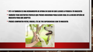 • PET 4 U TAMBIEN ES UNA HERRAMIENTA DE AYUDA EN CASO DE QUE LLEGUES A PERDER A TU MASCOTA
• TAMBIÉN TIENE DISTINTOS PERFILES QUE PUEDES OBSERVAR PARA ELEGIR CUAL ES LA MEJOR OPCIÓN DE
MASCOTA PARA QUE ADOPTES
• PUEDES COMPARTIR FOTOS, VIDEOS, ETC DE TUS EXPERIENCIAS CON TU MASCOTA
 