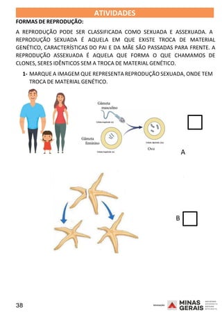 38 2008
FORMAS DE REPRODUÇÃO:
ATIVIDADES 2008
A REPRODUÇÃO PODE SER CLASSIFICADA COMO SEXUADA E ASSEXUADA. A
REPRODUÇÃO SEXUADA É AQUELA EM QUE EXISTE TROCA DE MATERIAL
GENÉTICO, CARACTERÍSTICAS DO PAI E DA MÃE SÃO PASSADAS PARA FRENTE. A
REPRODUÇÃO ASSEXUADA É AQUELA QUE FORMA O QUE CHAMAMOS DE
CLONES, SERES IDÊNTICOS SEM A TROCA DE MATERIAL GENÉTICO.
1- MARQUE A IMAGEM QUE REPRESENTA REPRODUÇÃO SEXUADA, ONDE TEM
TROCA DE MATERIAL GENÉTICO.
A
2008
B
 