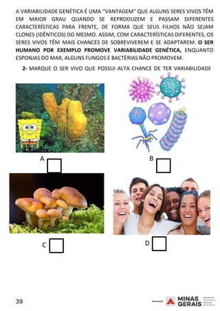 39 2008
A VARIABILIDADE GENÉTICA É UMA “VANTAGEM” QUE ALGUNS SERES VIVOS TÊM
EM MAIOR GRAU QUANDO SE REPRODUZEM E PASSAM DIFERENTE
2
S
008
CARACTERÍSTICAS PARA FRENTE, DE FORMA QUE SEUS FILHOS NÃO SEJAM
CLONES (IDÊNTICOS) DO MESMO. ASSIM, COM CARACTERÍSTICAS DIFERENTES, OS
SERES VIVOS TÊM MAIS CHANCES DE SOBREVIVEREM E SE ADAPTAREM. O SER
HUMANO POR EXEMPLO PROMOVE VARIABILIDADE GENÉTICA, ENQUANTO
ESPONJAS DO MAR, ALGUNS FUNGOS E BACTÉRIAS NÃO PROMOVEM.
2- MARQUE O SER VIVO QUE POSSUI ALTA CHANCE DE TER VARIABILIDADE
GENÉTICA.
A B
2008
C D
 