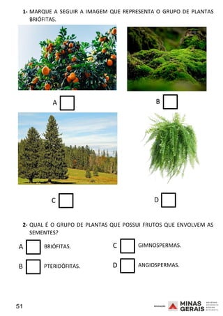 51 2008
2008
1- MARQUE A SEGUIR A IMAGEM QUE REPRESENTA O GRUPO DE PLANTAS
BRIÓFITAS.
A
C
2008
B
D
2- QUAL É O GRUPO DE PLANTAS QUE POSSUI FRUTOS QUE ENVOLVEM AS
SEMENTES?
A BRIÓFITAS. C GIMNOSPERMAS.
B PTERIDÓFITAS. D ANGIOSPERMAS.
 