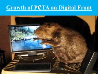Growth of PeTA on Digital Front