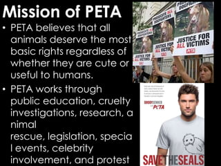 Peta Example PETA | PPTX