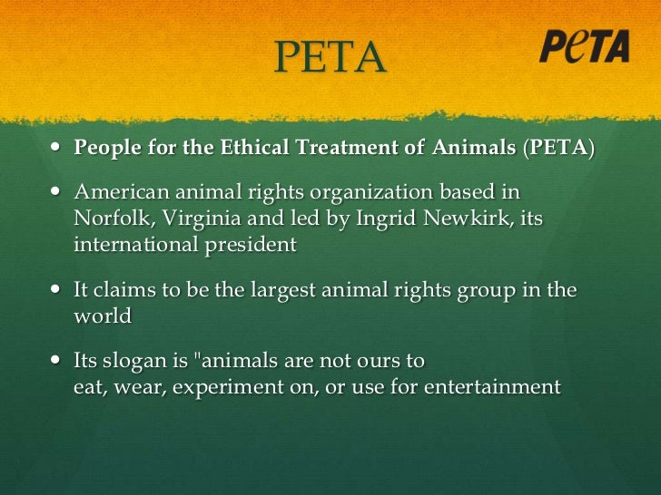 peta influencing companies strategies