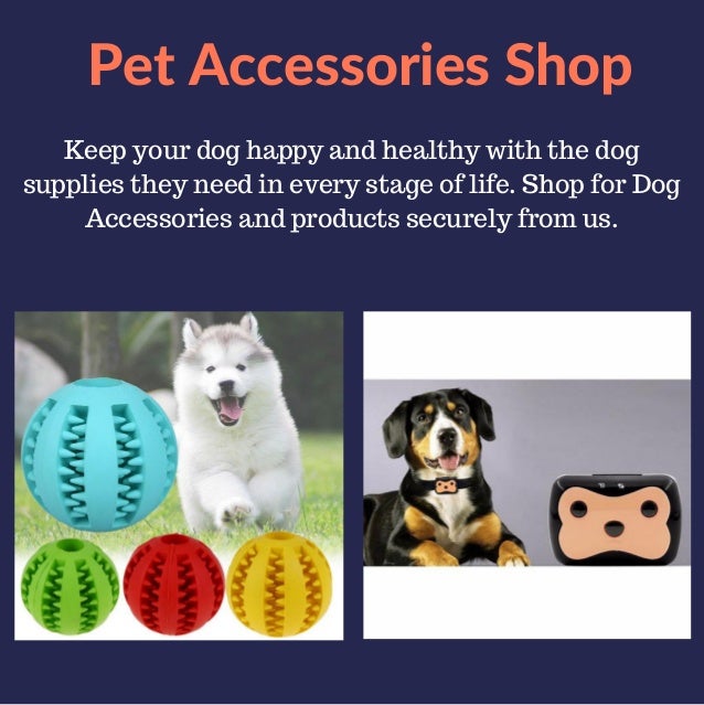 Pet Accessories Shop