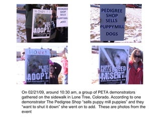 On 02/21/09, around 10:30 am, a group of PETA demonstrators gathered on the sidewalk in Lone Tree, Colorado. According to one demonstrator The Pedigree Shop “sells puppy mill puppies” and they “want to shut it down” she went on to add.  These are photos from the event  