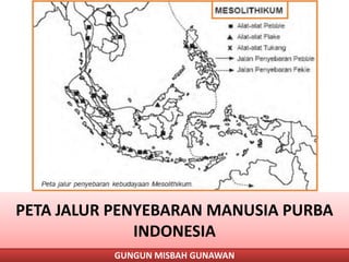 GUNGUN MISBAH GUNAWAN
PETA JALUR PENYEBARAN MANUSIA PURBA
INDONESIA
 