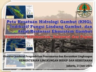 Direktur Jenderal Pengendalian Pencemaran dan Kerusakan Lingkungan
KEMENTERIAN LINGKUNGAN HIDUP DAN KEHUTANAN
Jakarta, 21 Juni 2016
 
