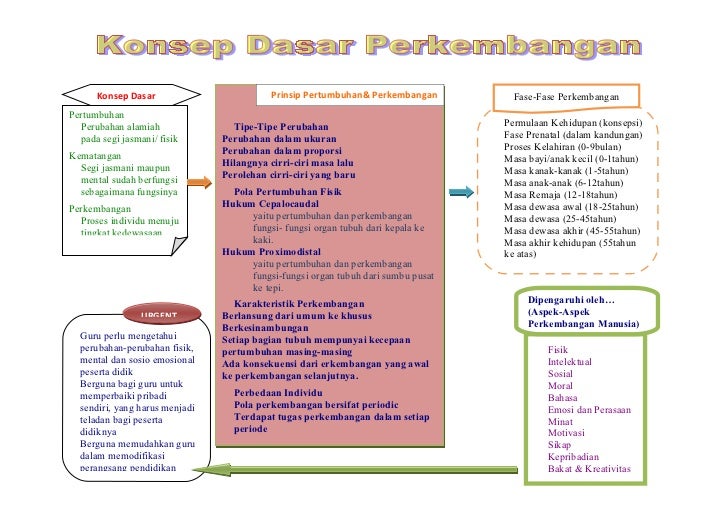Peta Konsep Dasar Psikologi Perkembangan