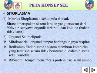 Peta konsep sel 2 | PPTX
