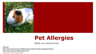 Pet Allergies
What you should know
Sources:
http://www.niehs.nih.gov/health/topics/conditions/asthma/allergens/pets/
http://www.epa.gov/asthma/pets.html
Image Credit: http://mrg.bz/UNFCB5
 