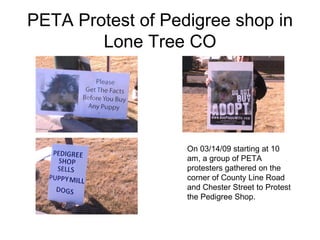 PETA Protest of Pedigree shop in Lone Tree CO On 03/14/09 starting at 10 am, a group of PETA protesters gathered on the corner of County Line Road and Chester Street to Protest the Pedigree Shop.  