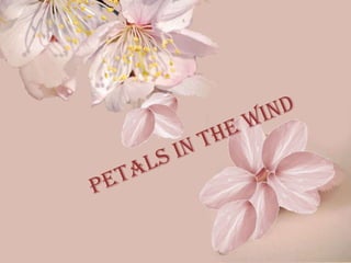 Petals in the wind 