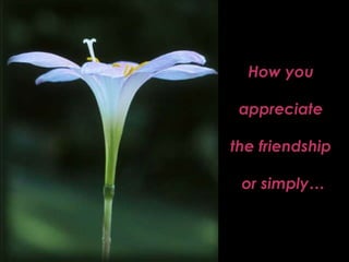 How you  appreciate  the friendship  or simply… 