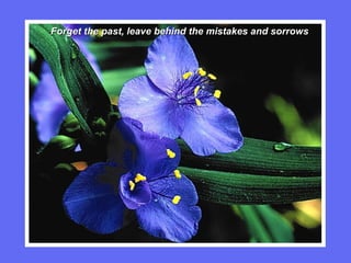 Forget the past, leave behind the mistakes and sorrows 