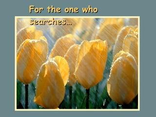 For the one who searches… 