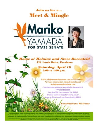 Flyer - State Senate Campaign 