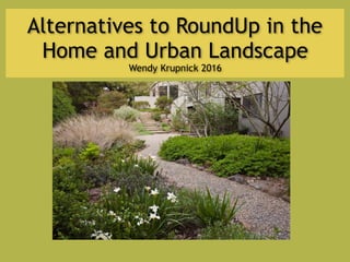 Alternatives to RoundUp in the
Home and Urban Landscape 
Wendy Krupnick 2016
 