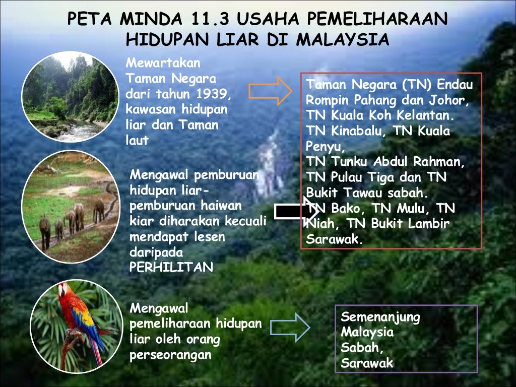 Peta Minda Pemeliharaan 22