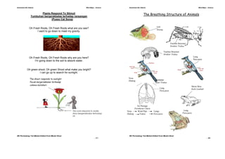 Peta minda sains | PDF