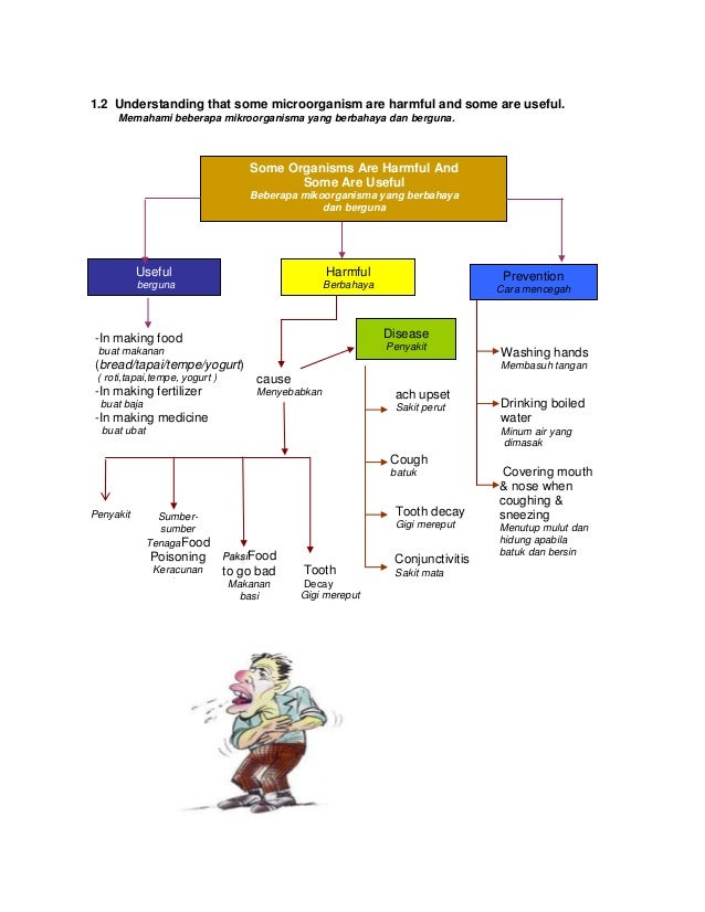 Peta minda sains 4,5,6