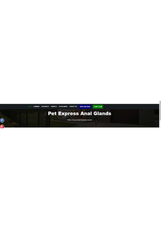Pet Anal Gland Expression Services.pdf