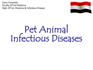 Cairo University
Faculty Of Vet.Medicine
Dept. Of Int. Medicine & Infectious Diseases




            Pet Animal
        Infectious Diseases
 