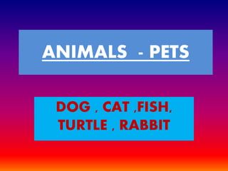 ANIMALS - PETS
DOG , CAT ,FISH,
TURTLE , RABBIT
 
