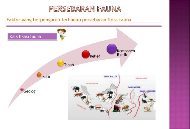 Peta persebaran flora fauna-geografi XI IPS