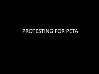 PROTESTING FOR PETA 
 