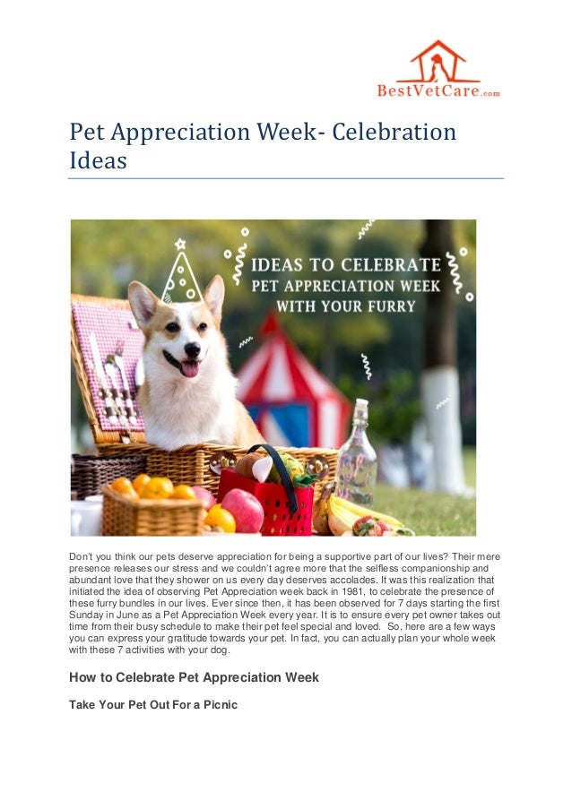 Pet Appreciation Week Celebration Ideas