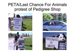 PETA/Last Chance For Animals protest of Pedigree Shop 