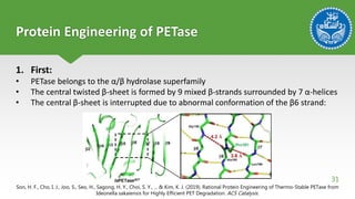 Petase Rational Design PETase; do not worry about plastic | PPSX
