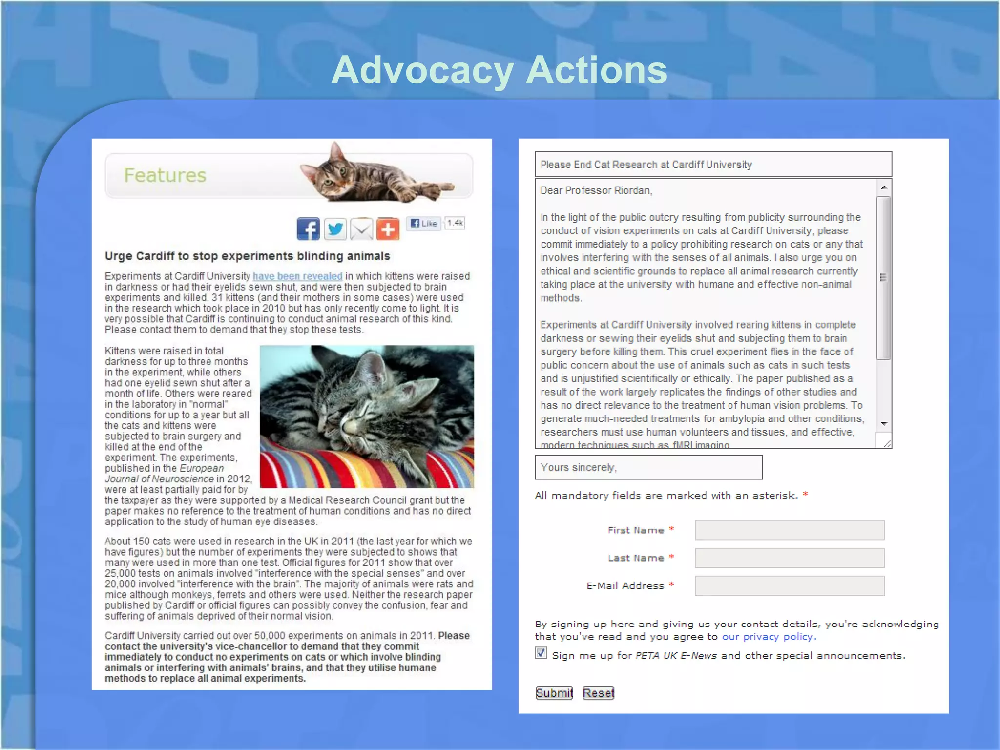 Advocacy Actions
 