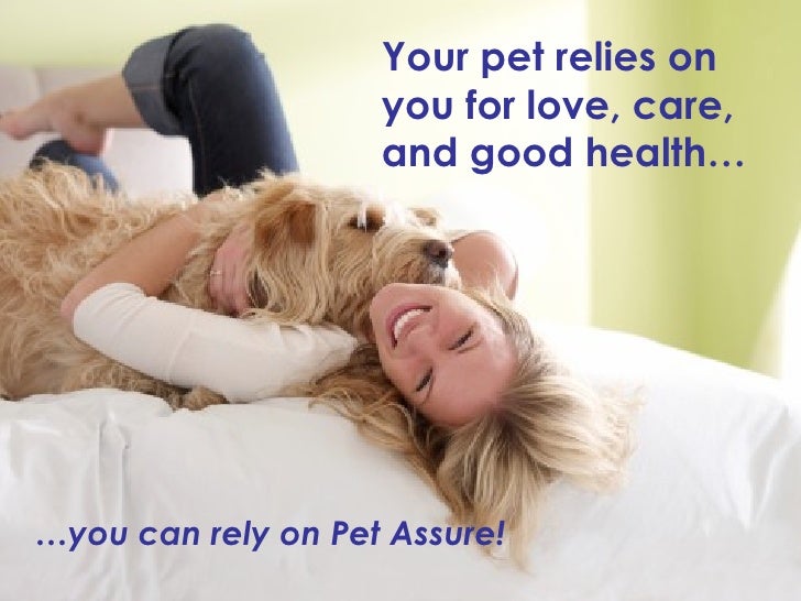 Pet Assure The Pet Insurance Alternative